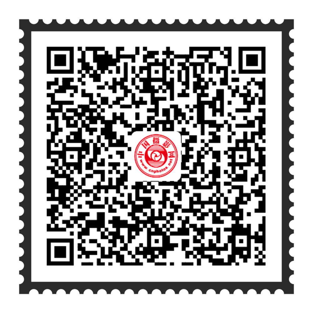 第五届全国青年摄影大展征稿启事
