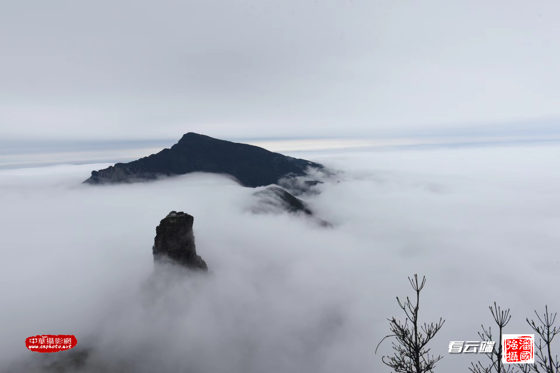 向云端