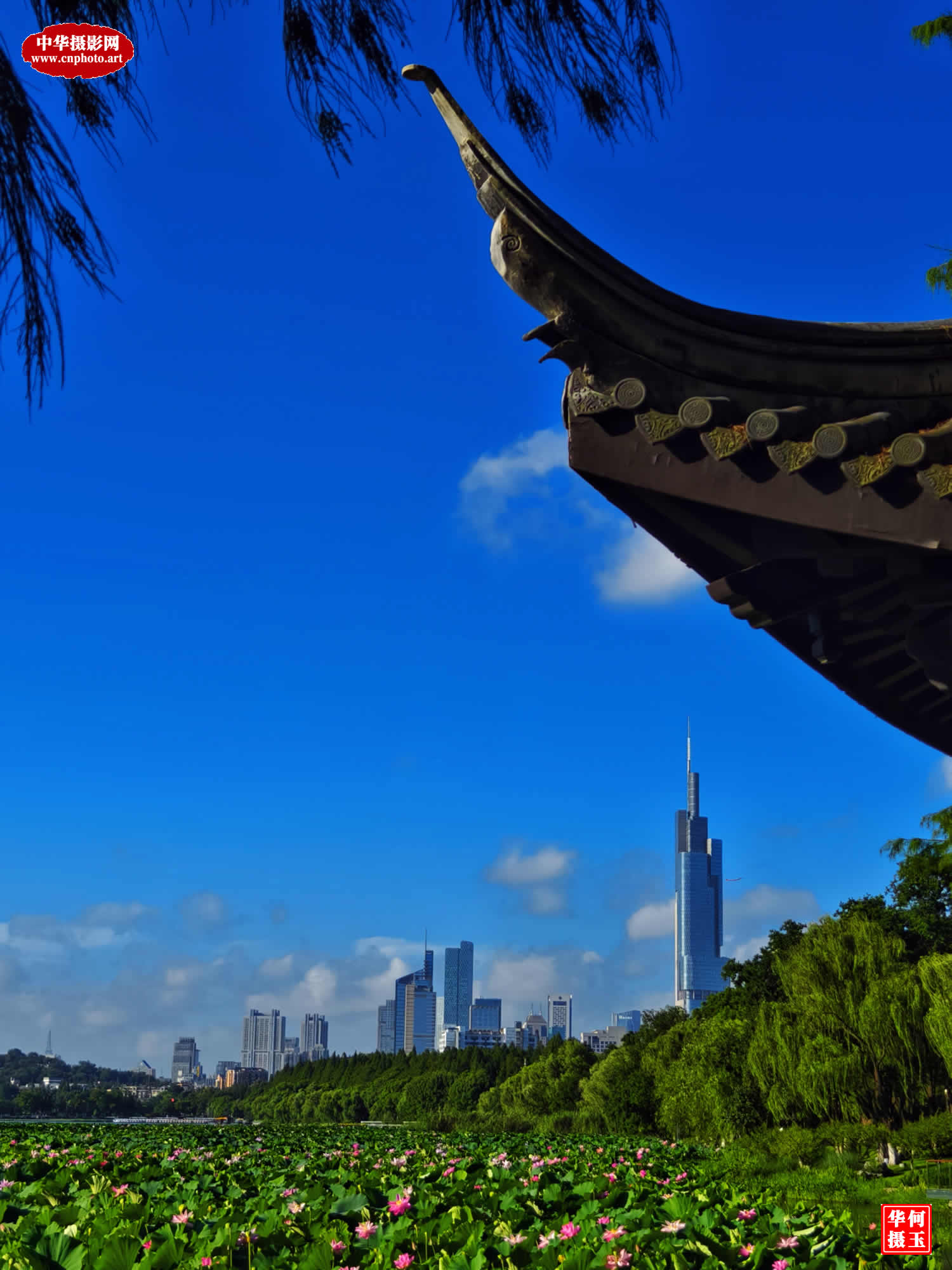 古今同框/湖南岳阳 何玉华