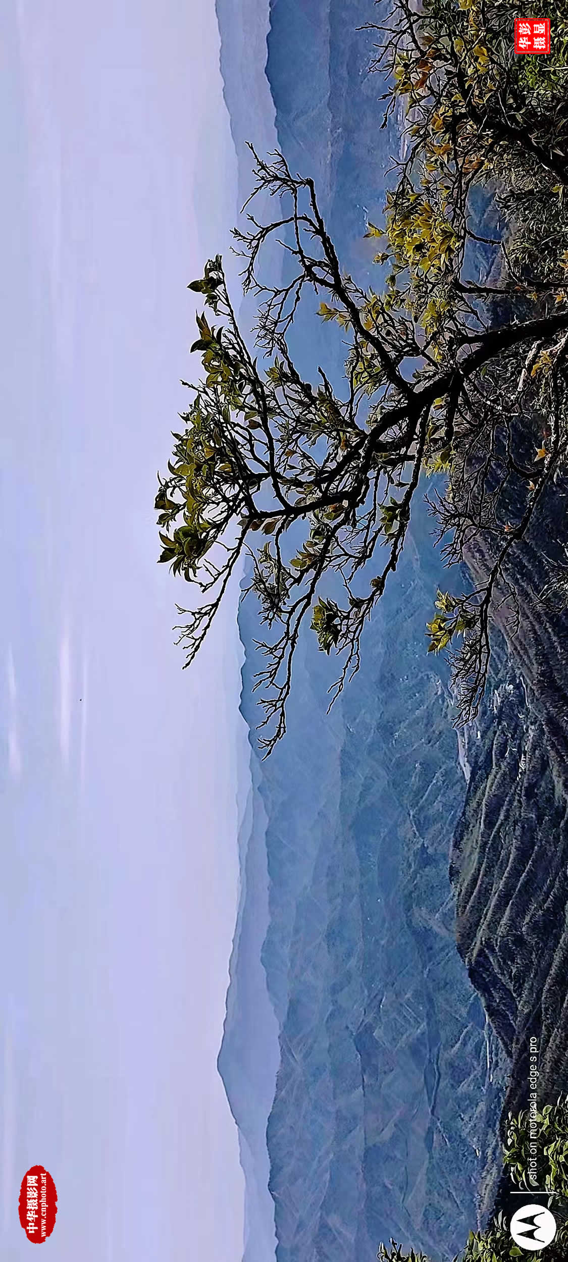 远山/湖南长沙 彭显华